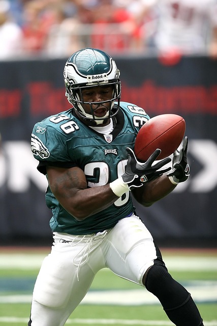 的审美选择 的审美选择