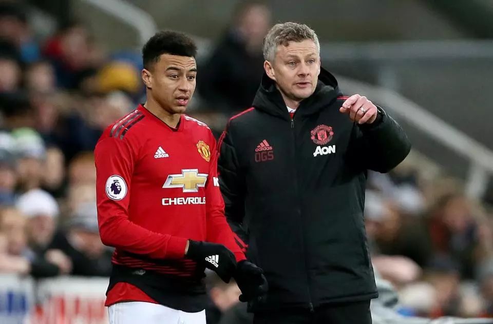 入了全新活 入了全新活